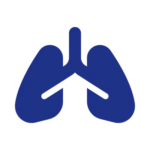 Lungs