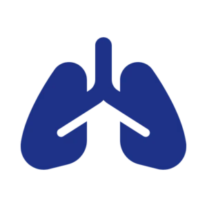 Lungs