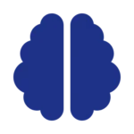 The brain
