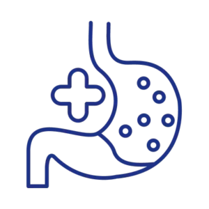 Stomach