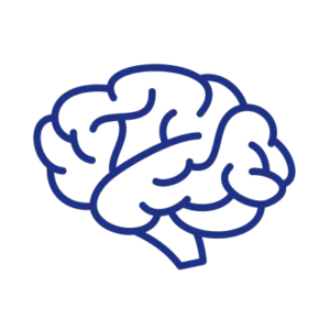 Brain